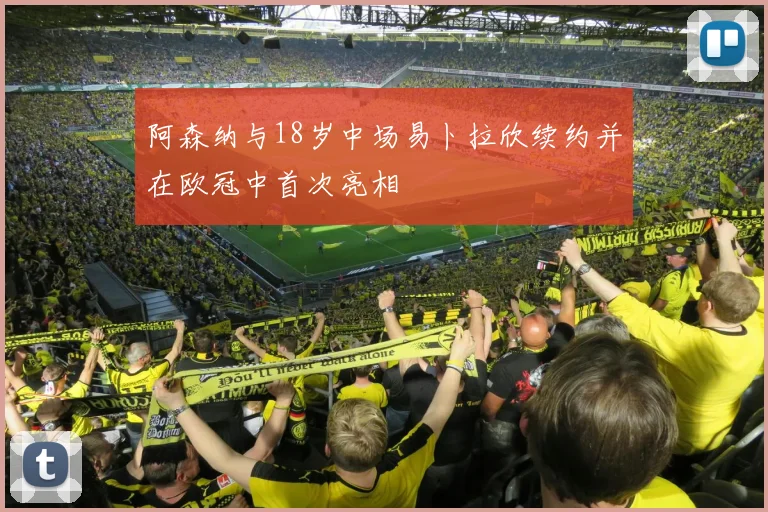 阿森纳与18岁中场易卜拉欣续约并在欧冠中首次亮相